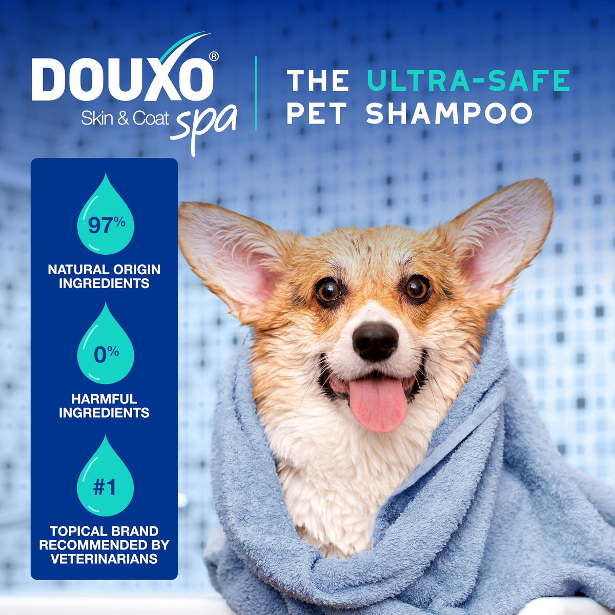 Dog Shampoo 16 fl oz C37383