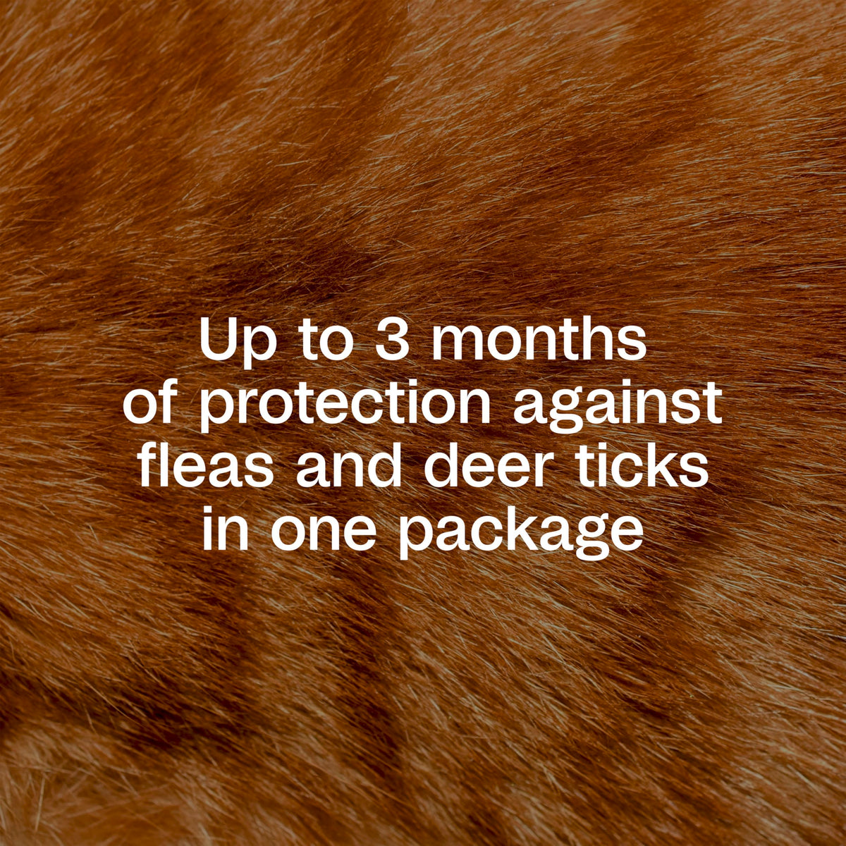 Flea and Tick Prevention Spot On for Cats 3 Pack R10274