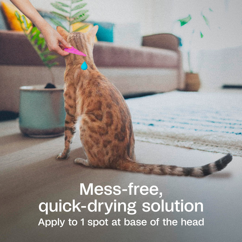 Flea and Tick Prevention Spot On for Cats 3 Pack R10274