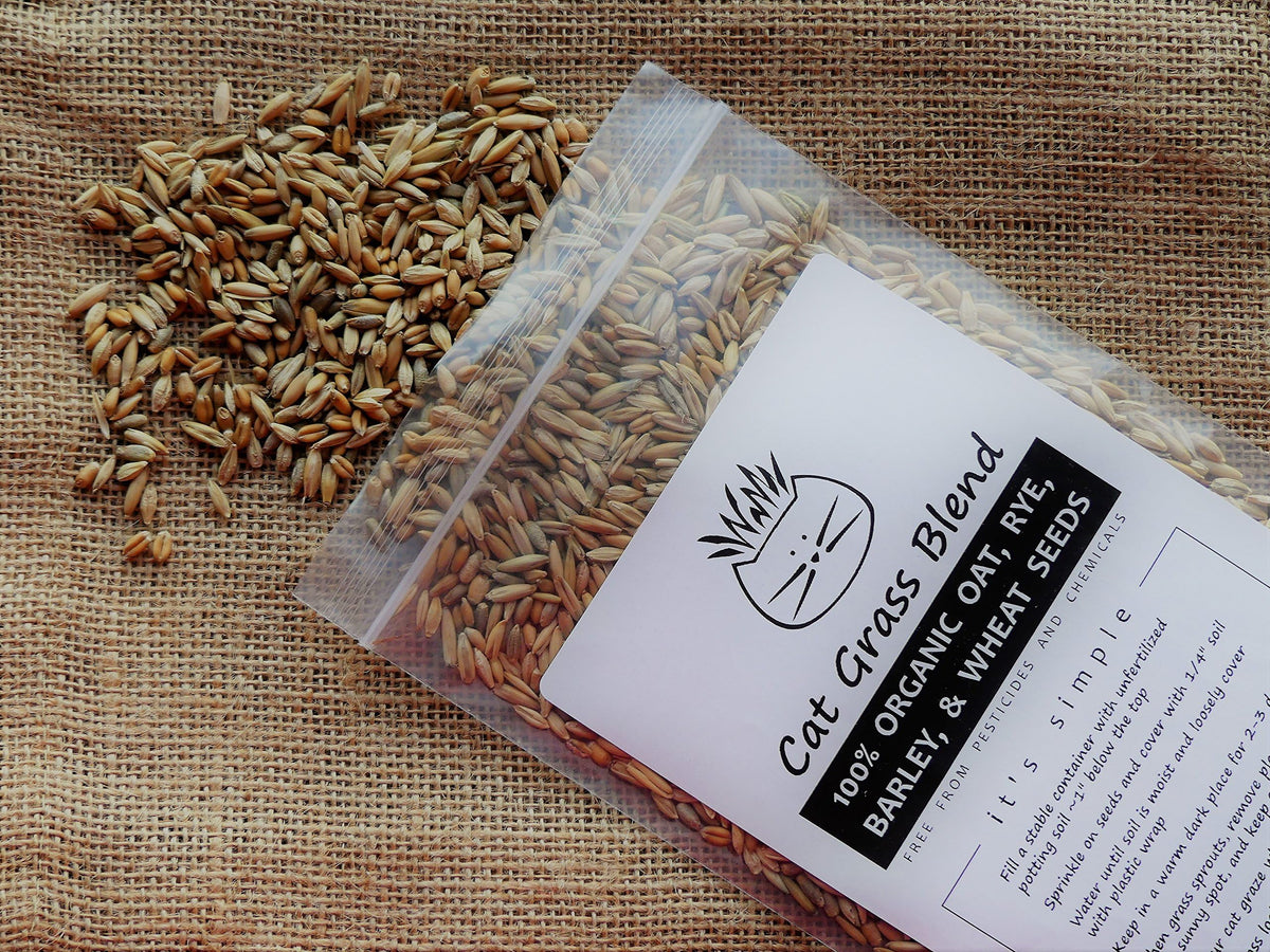 100% Organic Cat Grass Seed Mix 6 Ounce U8882