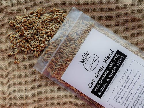100% Organic Cat Grass Seed Mix 6 Ounce U8882